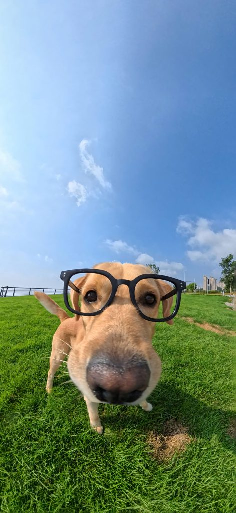 图片[3]|动物萌宠【52张】温柔风壁纸，治愈所有不开心|免费资源网_写真壁纸影视游戏免费素材