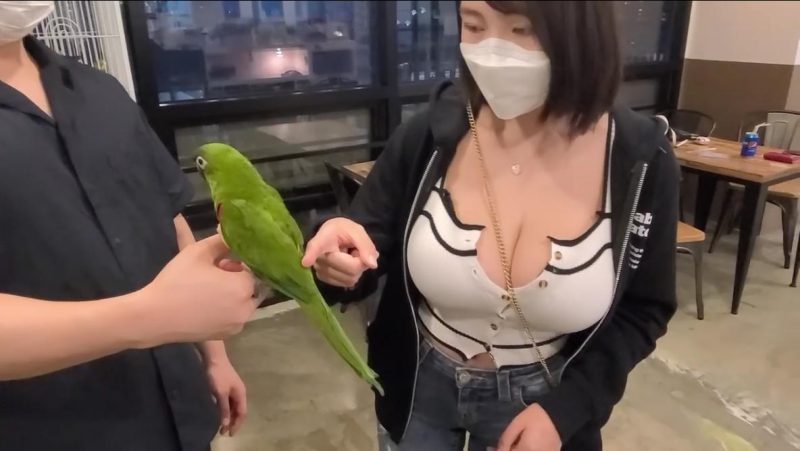 每一段旅途都有故事，每一次遇见都很幸运，珍惜所有美好|免费资源网_写真壁纸影视游戏免费素材