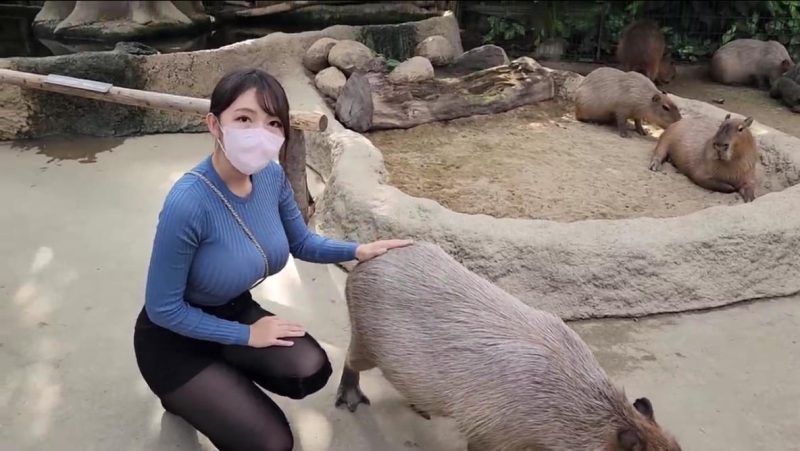 慢慢旅行慢慢相遇，在时光里感受温柔，在风景中遇见美好|免费资源网_写真壁纸影视游戏免费素材