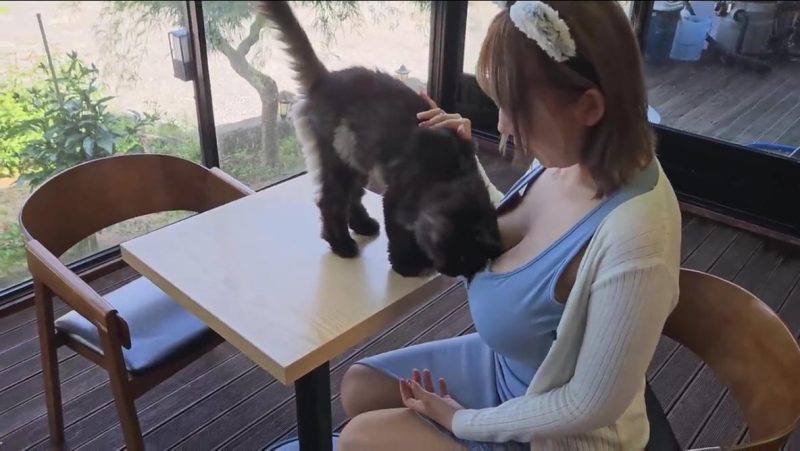 生活很闷但走出去有风，旅行会给你新的力量和新的希望|免费资源网_写真壁纸影视游戏免费素材