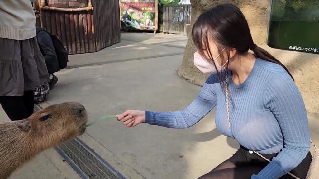 图片[2]|慢慢旅行慢慢相遇，在时光里感受温柔，在风景中遇见美好|免费资源网_写真壁纸影视游戏免费素材