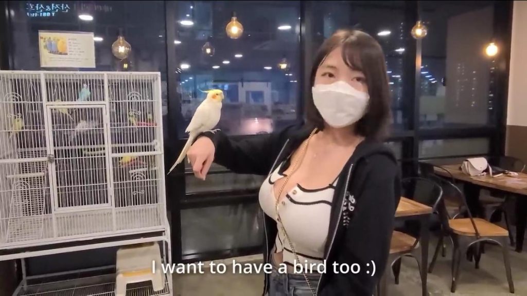 图片[2]|每一段旅途都有故事，每一次遇见都很幸运，珍惜所有美好|免费资源网_写真壁纸影视游戏免费素材