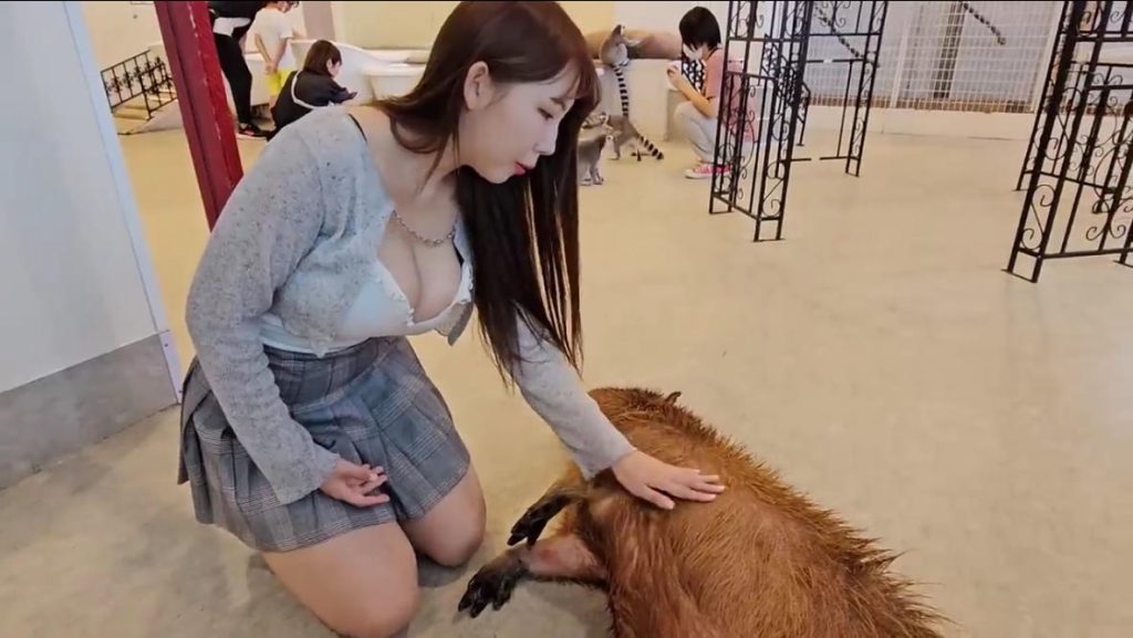 图片[2]|见过天地辽阔众生百态，才更懂得珍惜当下拥有的每一份美好|免费资源网_写真壁纸影视游戏免费素材